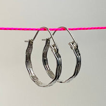 Load image into Gallery viewer, Sterling Silver Hoop Earrings